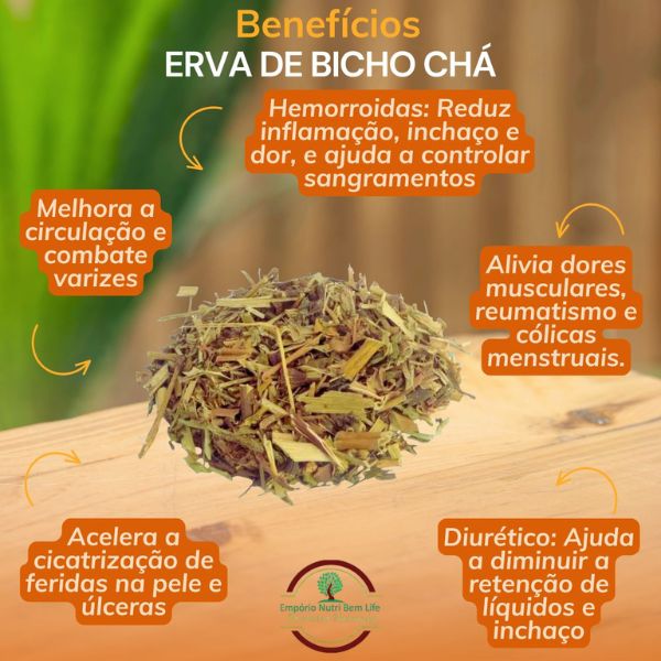 ERVA DE BICHO PARA CH� - (POLYGONUM ACRE ELL)